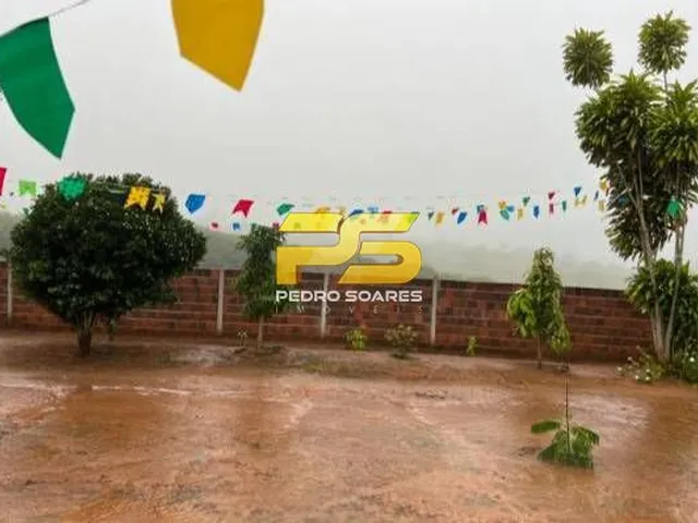 Imagem 13: Fazenda - Bananeiras