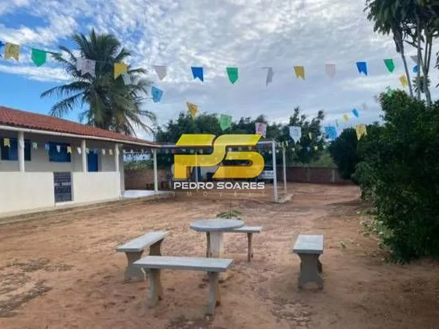 Imagem 6: Fazenda - Bananeiras