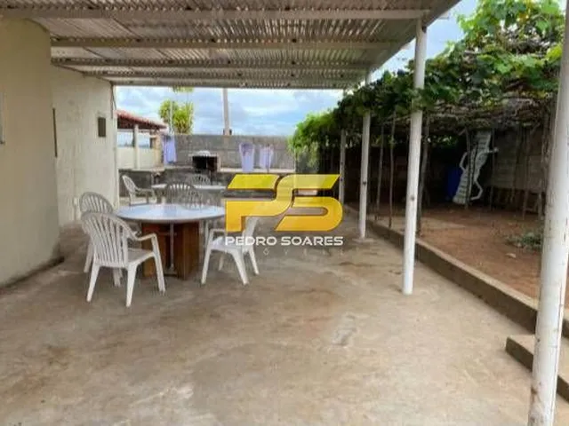 Imagem 4: Fazenda - Bananeiras