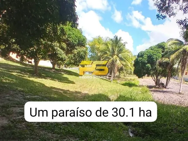 Imagem 15: Fazenda à Venda, Centro - Conde