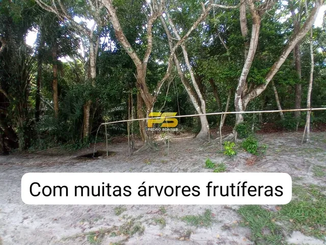 Imagem 5: Fazenda à Venda, Centro - Conde