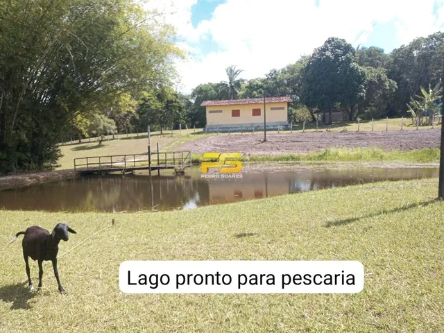 Imagem 3: Fazenda à Venda, Centro - Conde