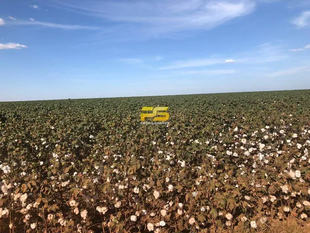 Imagem 4: Fazenda 26.726 mil hectares em MT, a venda