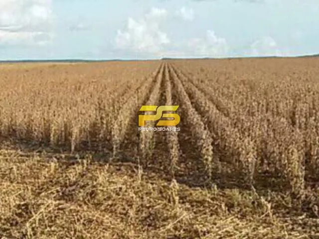 Imagem 2: Fazenda 26.726 mil hectares em MT, a venda
