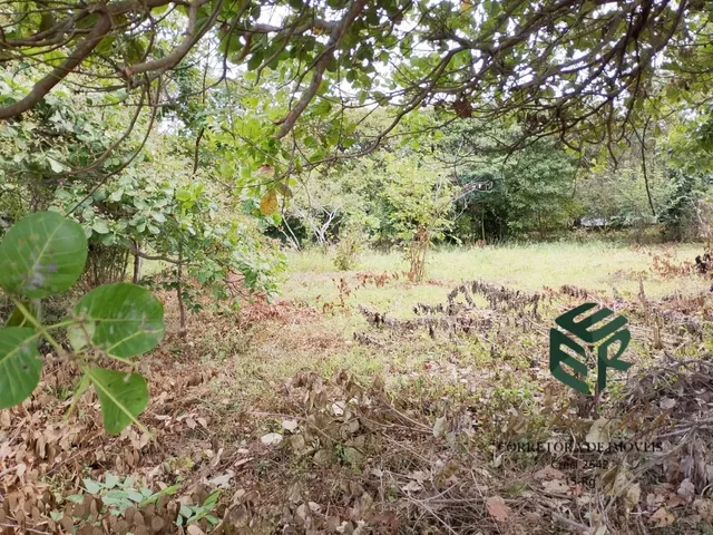 Imagem: Procurando Terreno Top Confira esse