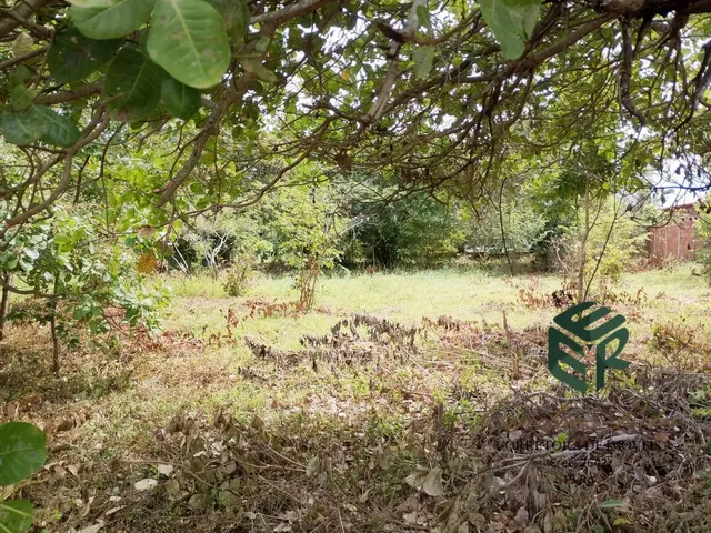 Imagem 10: Procurando Terreno Top? Confira Esse