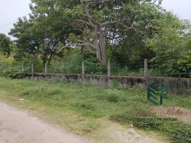 Imagem: Vendo 08 lotes 48x60 duas frentes