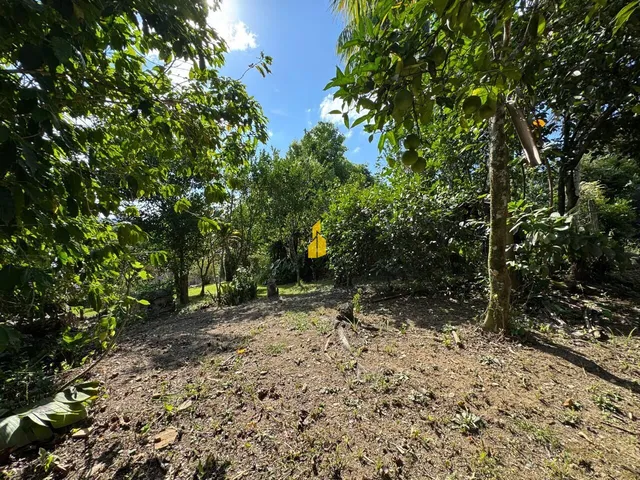 Imagem 7: Terreno à Venda Bairro Quintino Timbó/ SC