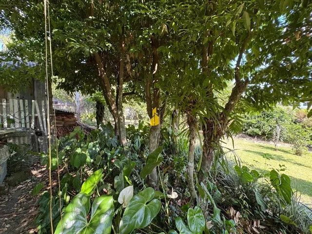 Imagem 8: Terreno à Venda Bairro Quintino Timbó/ SC