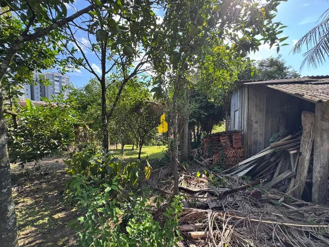 Imagem 6: Terreno à Venda Bairro Quintino Timbó/ SC