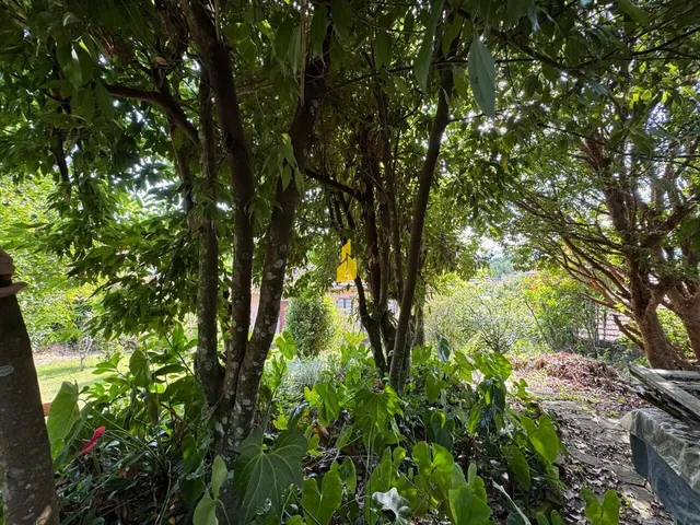 Imagem 4: Terreno à Venda Bairro Quintino Timbó/ SC