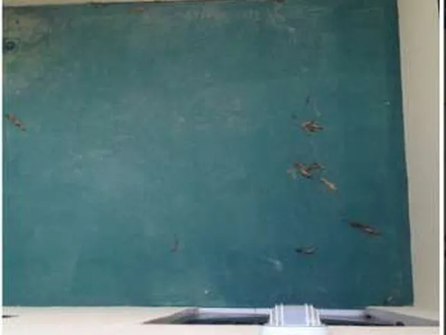 Imagem 5: Casa 3 Dormitórios para Alugar Passaré Fortaleza/Ce