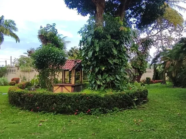 Imagem 16: SÍTIO À VENDA COM 1,9 HECTARES EM AQUIRAZ-EUSEBIO!!!
