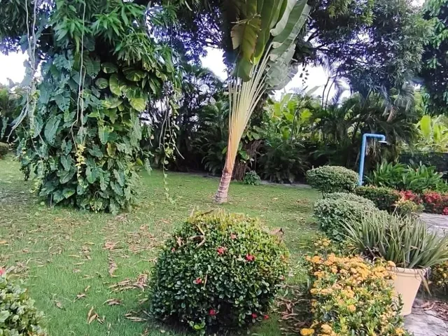 Imagem 15: SÍTIO À VENDA COM 1,9 HECTARES EM AQUIRAZ-EUSEBIO!!!