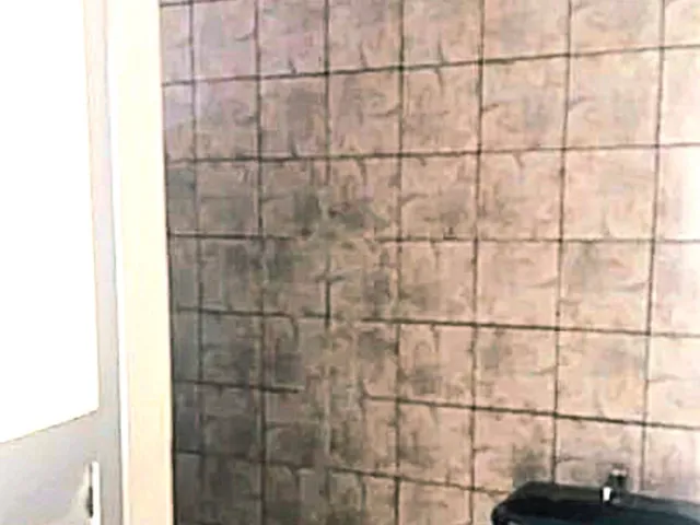 Imagem 11: Apartamento 3/4 à venda na Vila Laura