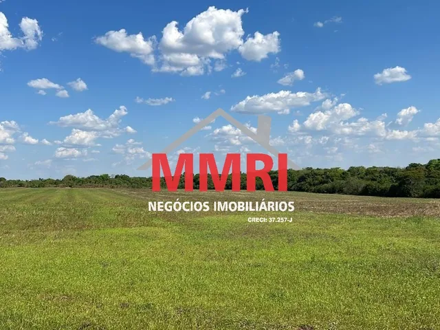 Imagem 6: FAZENDA RURAL em ARAGUACEMA - TO, Vale do Araguaia