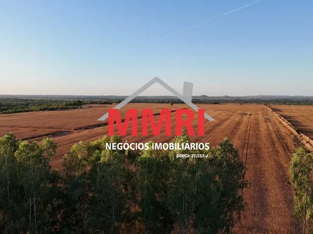 Imagem 14: FAZENDA RURAL em ARAGUACEMA - TO, Vale do Araguaia