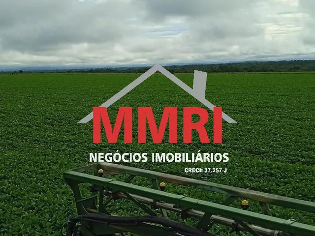 Imagem 2: FAZENDA RURAL em ARAGUACEMA - TO, Vale do Araguaia