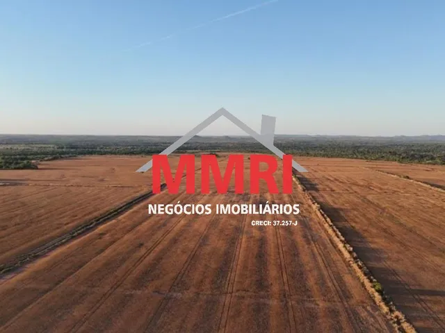 Imagem 15: FAZENDA RURAL em ARAGUACEMA - TO, Vale do Araguaia