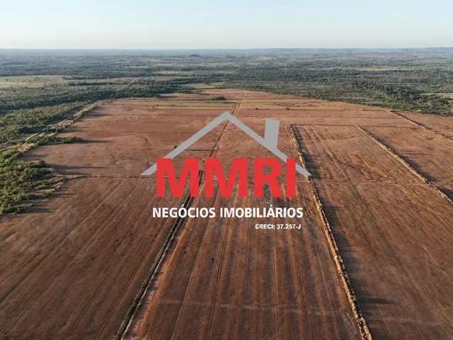 Imagem 4: FAZENDA RURAL em ARAGUACEMA - TO, Vale do Araguaia