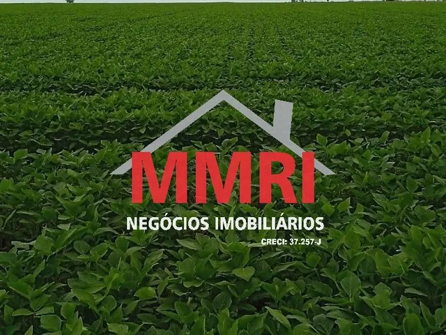 Imagem 16: FAZENDA RURAL em ARAGUACEMA - TO, Vale do Araguaia