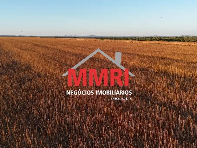 Imagem 11: FAZENDA RURAL em ARAGUACEMA - TO, Vale do Araguaia