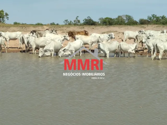 Imagem: FAZENDA RURAL em SÃO FÉLIX DO ARAGUAIA