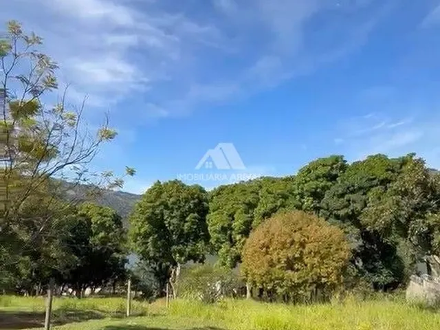 Imagem 4: TERRENO NO PORTO GOIO ÊN