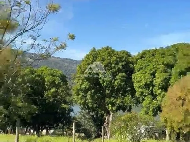 Imagem 6: TERRENO NO PORTO GOIO ÊN