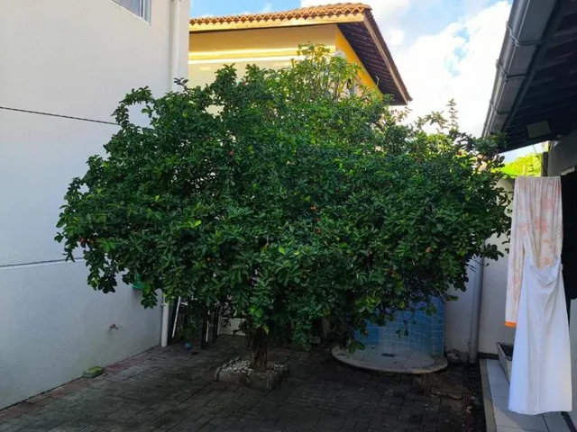 Imagem 14: A casa na medida do que você precisa