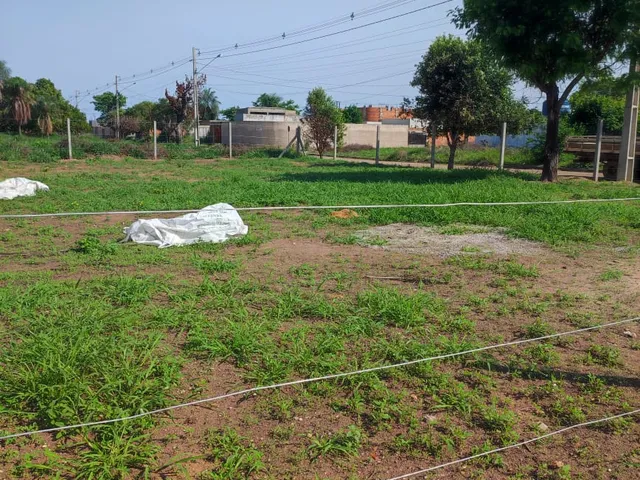 Imagem 7: Loteamento Residencial Mirante