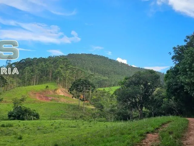 Imagem 4: Fazenda À Venda em Joanópolis-Sp, no Bairro Bonfim, com 4 Quartos, 2 Suítes e 1.870.660,00 M² de Área