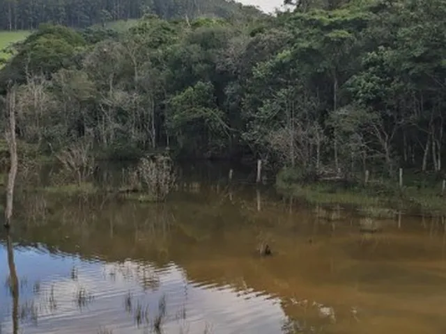 Imagem 12: Fazenda À Venda em Joanópolis-Sp, no Bairro Bonfim, com 4 Quartos, 2 Suítes e 1.870.660,00 M² de Área