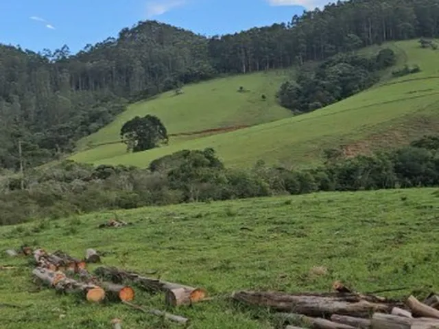 Imagem 9: Fazenda À Venda em Joanópolis-Sp, no Bairro Bonfim, com 4 Quartos, 2 Suítes e 1.870.660,00 M² de Área