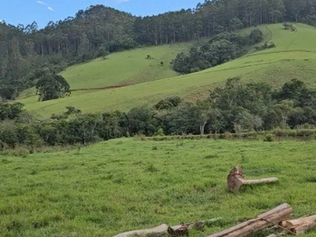Imagem 11: Fazenda À Venda em Joanópolis-Sp, no Bairro Bonfim, com 4 Quartos, 2 Suítes e 1.870.660,00 M² de Área