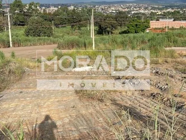 Imagem: Lote/Ágio St Eduardo