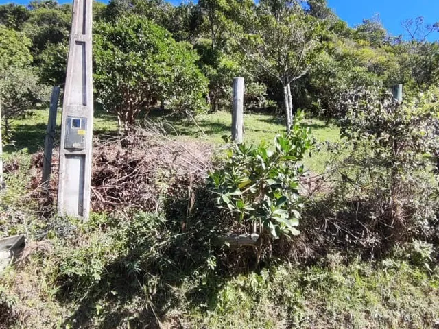 Imagem 12: Terreno com vista para o mar, Garopaba-SC, bairro Silveira, 1.058m² de área pronta para