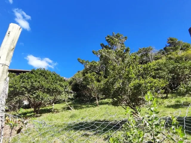 Imagem 4: Terreno com vista para o mar, Garopaba-SC, bairro Silveira, 1.058m² de área pronta para