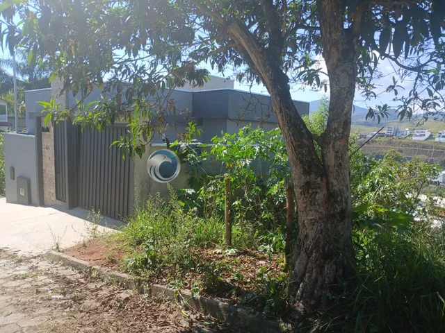 Imagem 4: Terreno com vista permanente Serra Azul