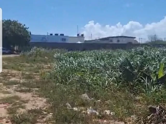 Imagem 5: TERRENO EM STELLA MARIS - OPORTUNIDADE DE LOCAÇÃO COM 1.089,00 M² DE ÁREA