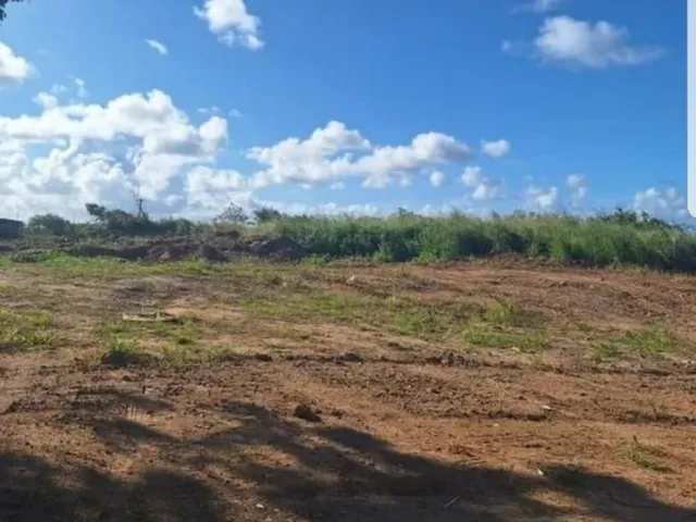 Imagem 3: TERRENO EM STELLA MARIS - OPORTUNIDADE DE LOCAÇÃO COM 1.089,00 M² DE ÁREA