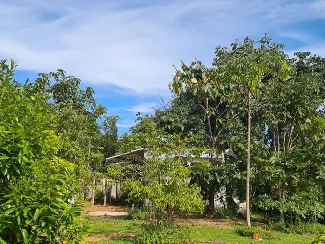 Imagem: Condomínio Residencial Flor do Cerrado