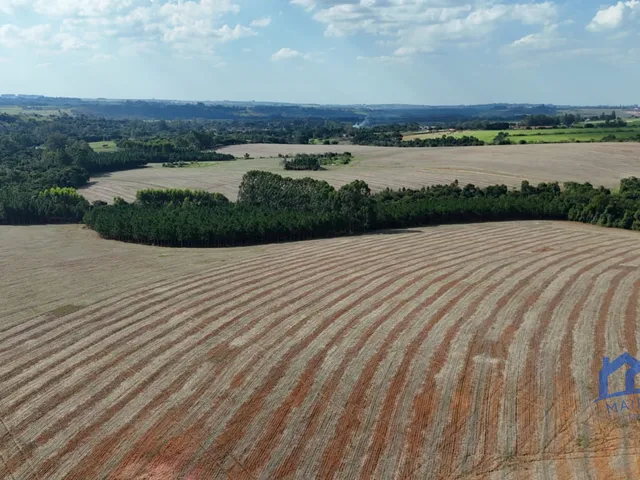 Imagem 11: Sítio/Fazenda à Venda, 21 alqueires por R$ 6.600.000 Cód. ch2729