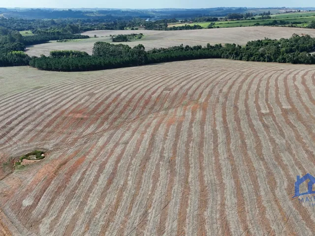 Imagem 5: Sítio/Fazenda à Venda, 21 alqueires por R$ 6.600.000 Cód. ch2729