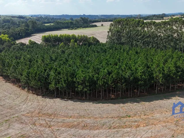 Imagem 12: Sítio/Fazenda à Venda, 21 alqueires por R$ 6.600.000 Cód. ch2729
