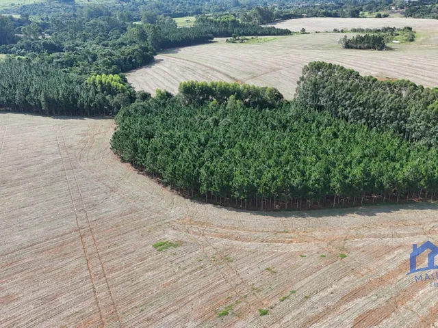 Imagem 3: Sítio/Fazenda à Venda, 21 alqueires por R$ 6.600.000 Cód. ch2729
