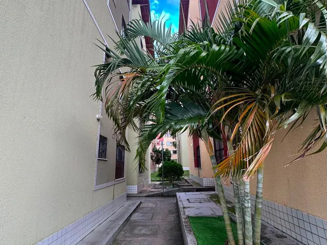Imagem 11: Apartamento para Venda na Cohama 2 quartos 1 banheiro no Térreo