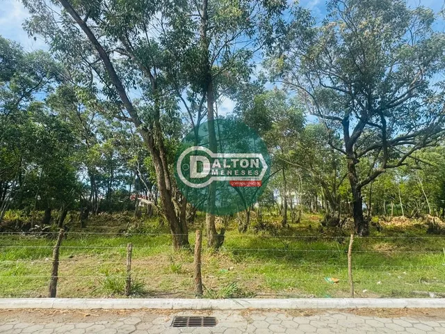 Imagem 5: TERRENO RESIDENCIAL em FLORIANÓPOLIS - SC, SÃO JOÃO DO RIO VERMELHO