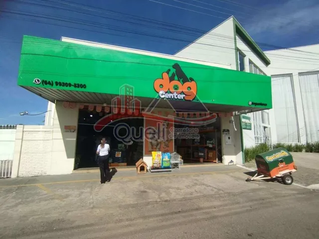 Imagem: Pet Center à venda, Caldas Novas GO, Centro