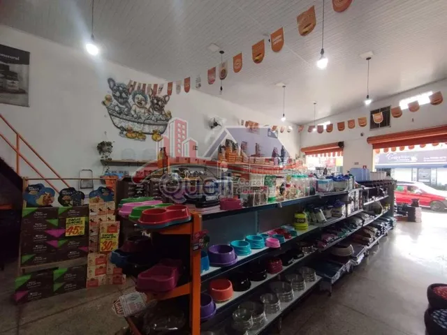 Imagem 3: Pet Center à venda, Caldas Novas GO, Centro, Pronto para trabalhar
